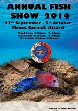 10660239_10204930539803846_384457598866275703_n