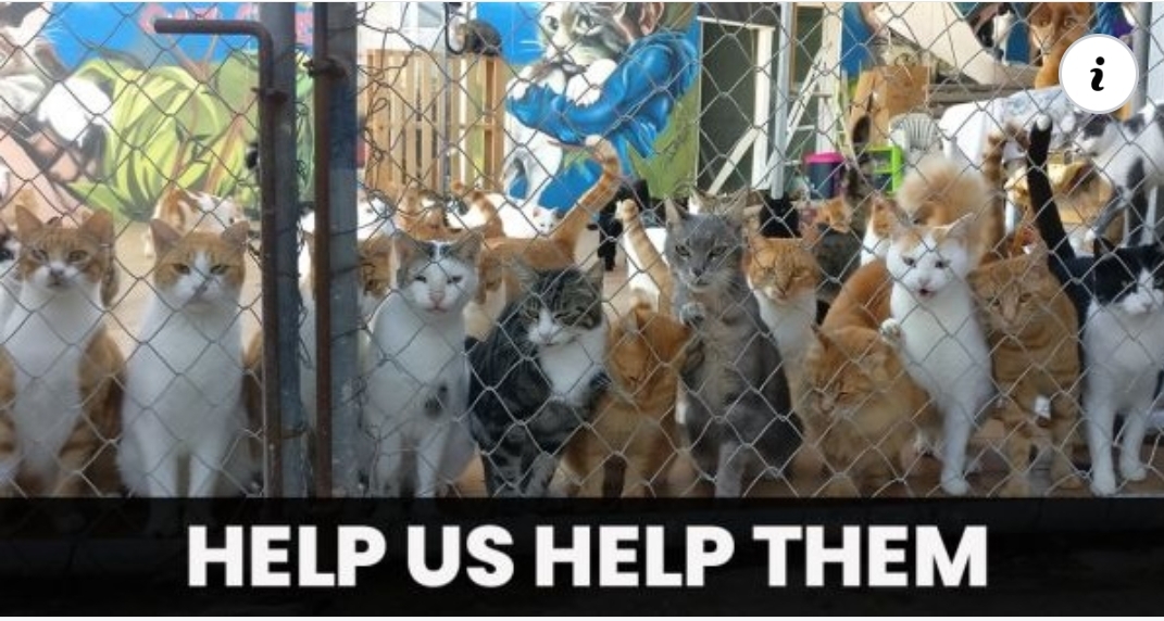 Screenshot_20210328-174501_Facebook