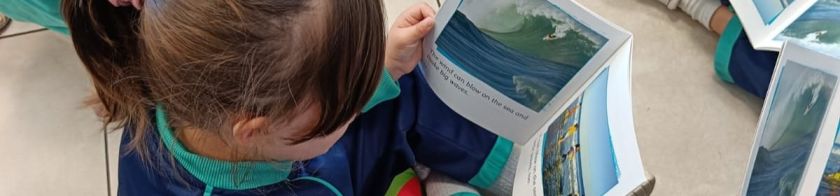 A young girl, face not showing, reading a picture book.